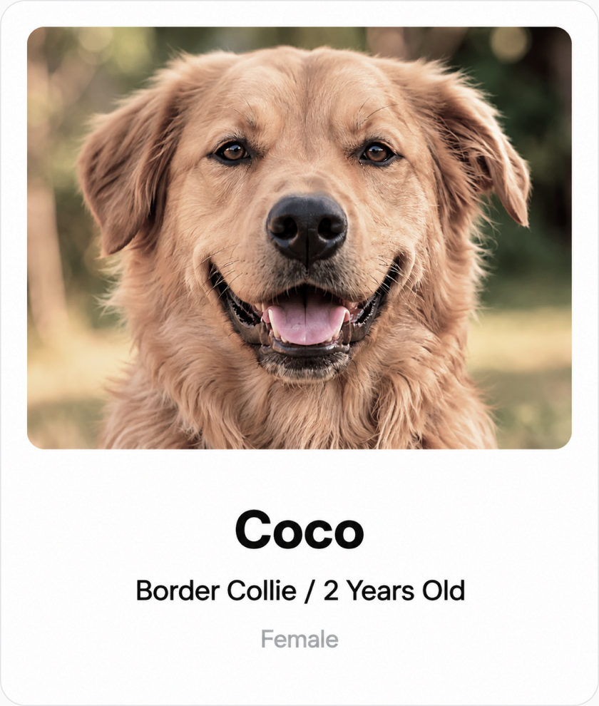 A conventional pet profile screen